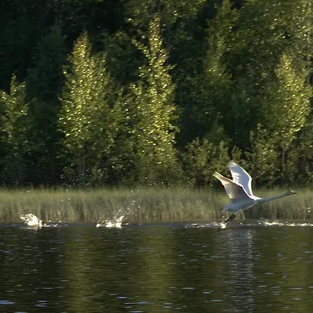 Semesterbostad Suvikumpu Valijoki
